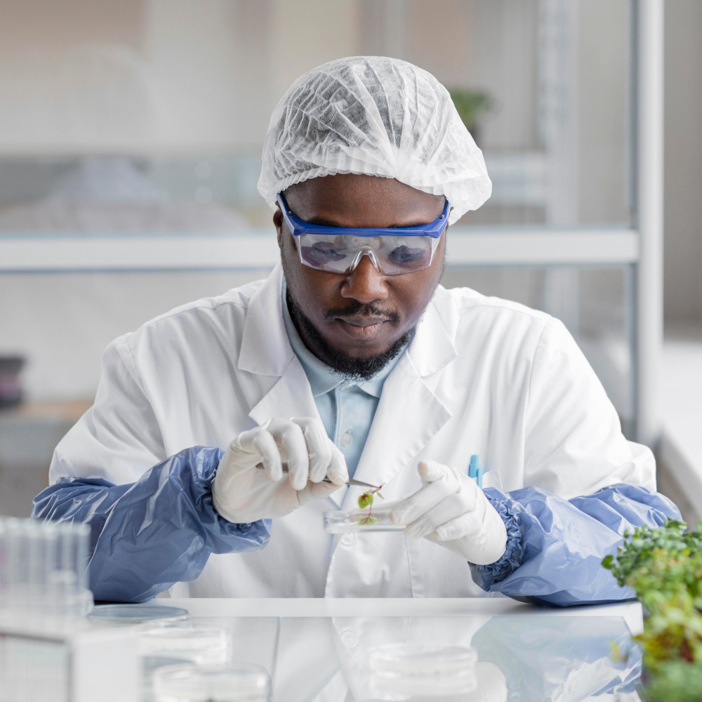 lab